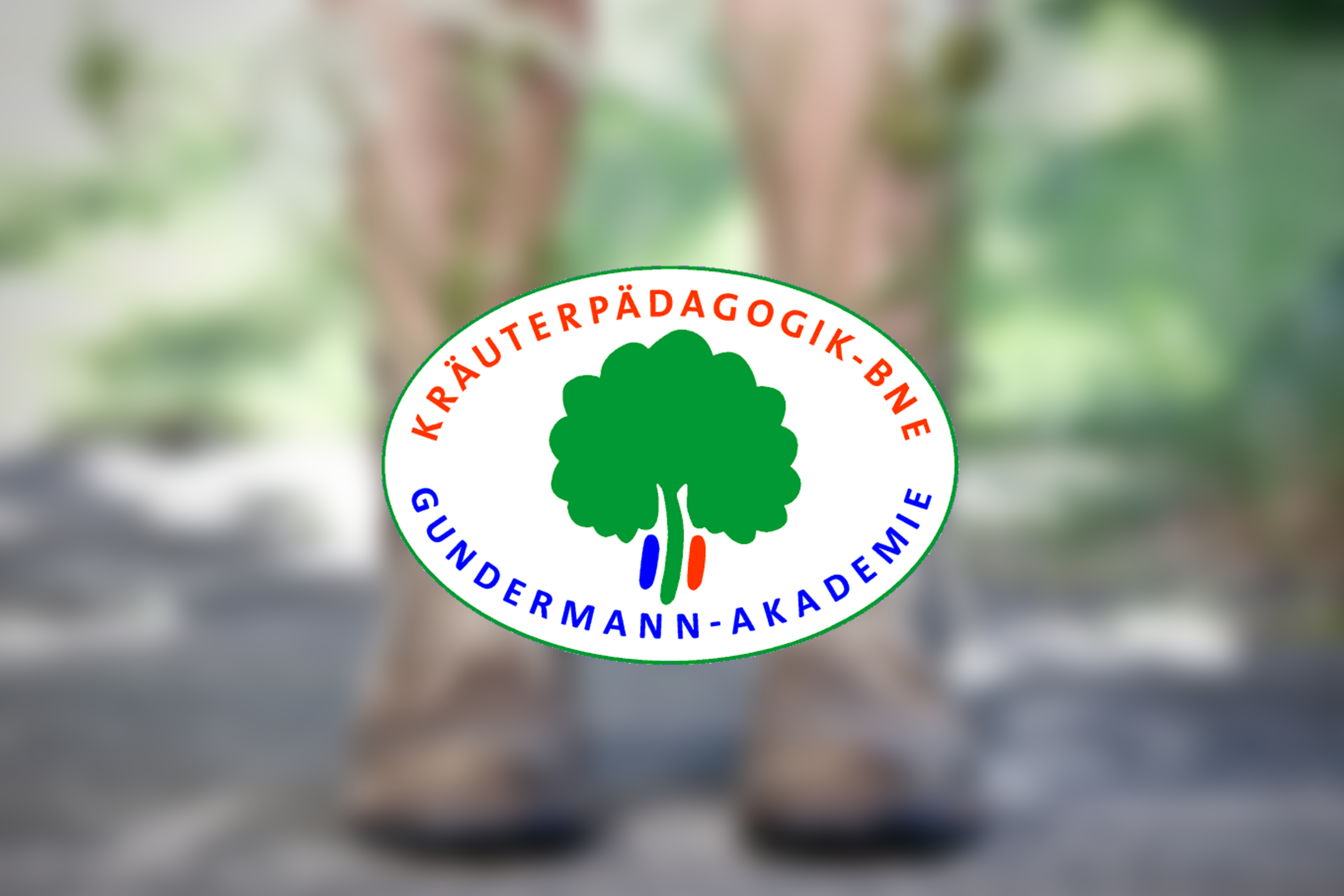 Helga Röder | Kräuterpädagogin | Wildkräutern | wild-er-leben | wilderleben 